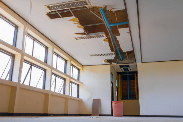 Best Water damage restoration near me  in Arlington, VA