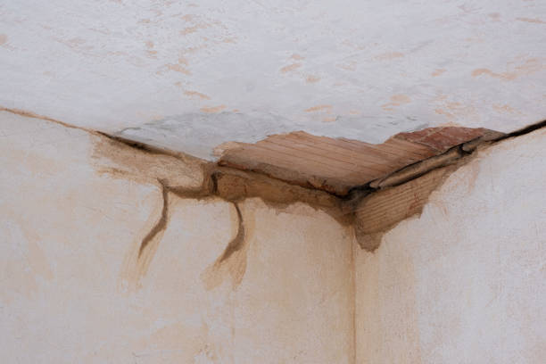 Best Flooded house restoration  in Arlington, VA