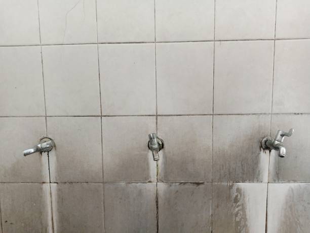 Best Basement water damage restoration  in Arlington, VA