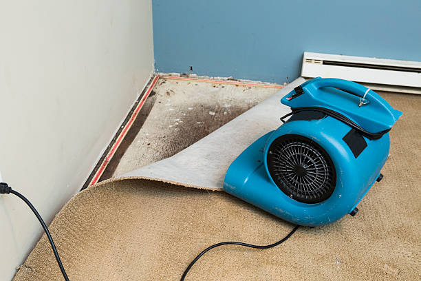 Water damage restoration experts in Arlington, VA